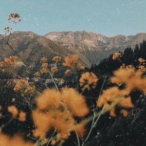 Meet your Posher, Carolina